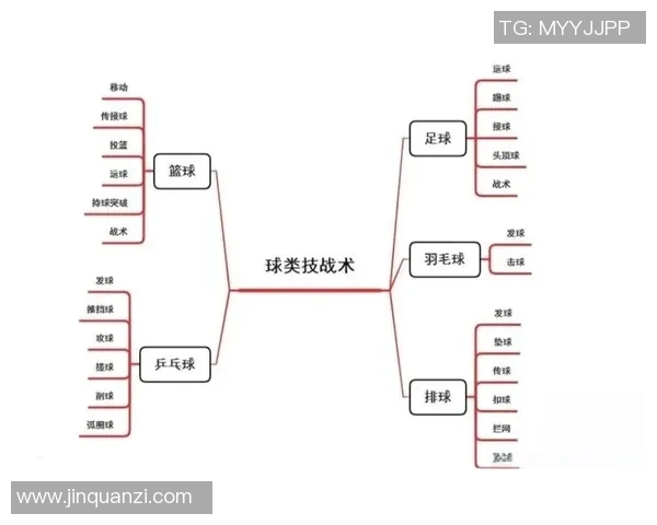 武汉篮球队反击战术解析与实战应用探讨