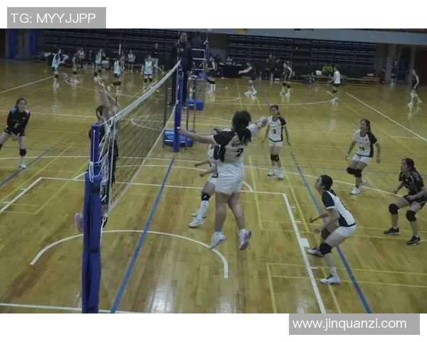 排球盛宴：深入了解西安排球队的团队配合与默契之道